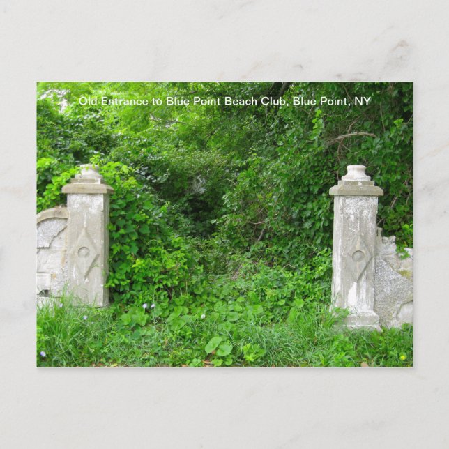 Blue Point Beach Club Postkarte (Vorderseite)