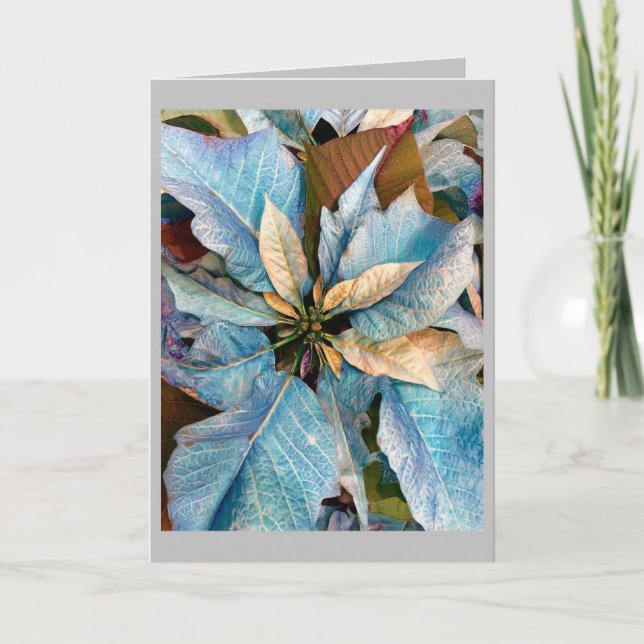 Blue Pointsettia Holiday Card Karte (Vorderseite)