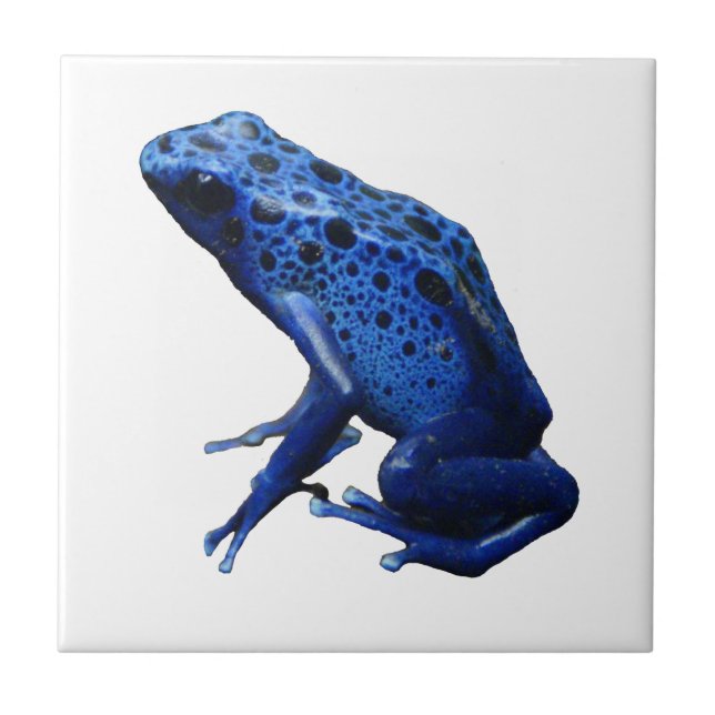 Blue Poison Dart Frog Fliese (Vorderseite)