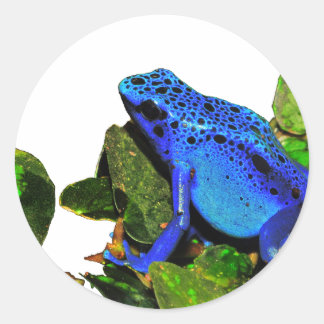 Blue Poison Dart Frog Runder Aufkleber