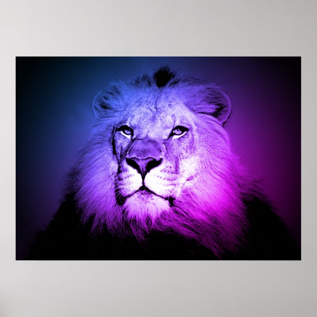 Blue Pop Art Lion - Wilde Tierfotografie Poster (Vorne)