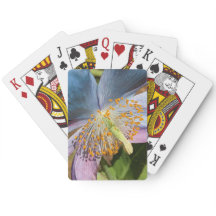 Blue Poppy Bloom Floral