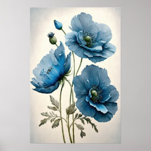 Blue Poppy Blume Art Print Poster