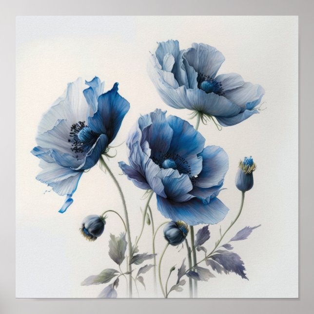 Blue Poppy Blume Art Print Poster (Vorne)