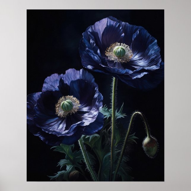 Blue Poppy Blume Art Print Poster (Vorne)