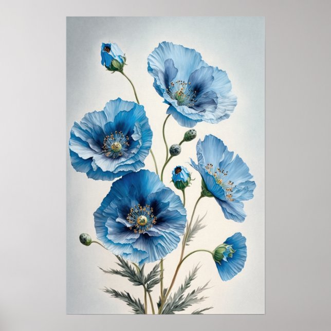 Blue Poppy Blume Art Print Poster (Vorne)
