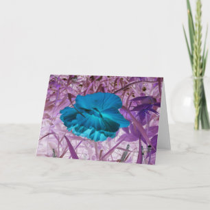 "Blue Poppy" Digital bearbeitetes Foto: Blume, Gra Karte