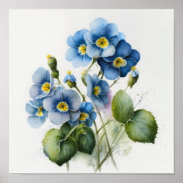 Blue Primrose Blume Art Print Poster