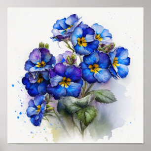 Blue Primrose Blume Art Print Poster