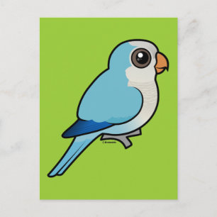 Blue Quaker Postkarte