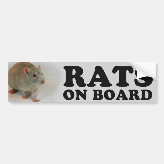 (Blue) Ratten man board Autoaufkleber (Vorne)
