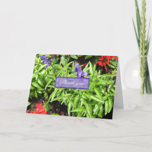 Blue & Red Salvia Thank You Card Karte