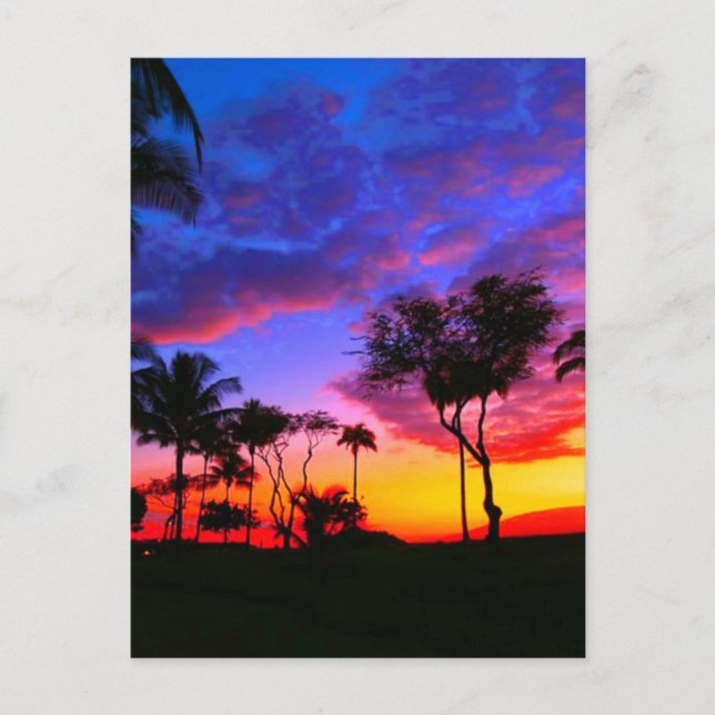 Blue Red Sunset Exotic Hawaiian Beach Palm Bäume Postkarte (Vorderseite)