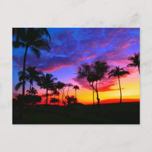 Blue Red Sunset Exotic Hawaiian Beach Palm Bäume Postkarte