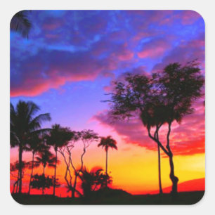 Blue Red Sunset Exotic Hawaiian Beach Palm Bäume Quadratischer Aufkleber