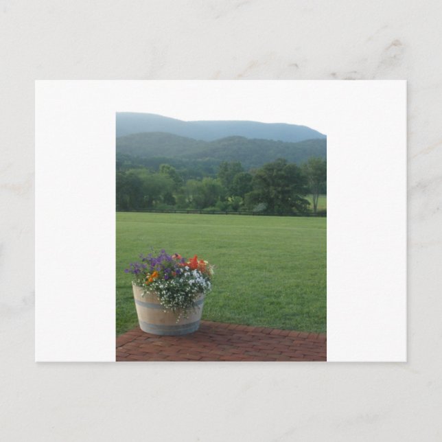 Blue Ridge Blume Postkarte (Vorderseite)