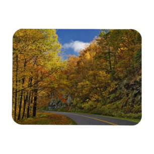 Blue Ridge Parkway, der durch Herbstfarben kurbelt Magnet