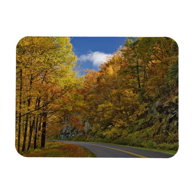 Blue Ridge Parkway, der durch Herbstfarben kurbelt Magnet (Horizontal)