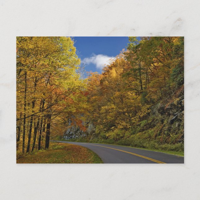 Blue Ridge Parkway, der durch Herbstfarben kurbelt Postkarte (Vorderseite)