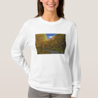 Blue Ridge Parkway, der durch Herbstfarben kurbelt