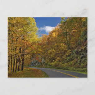 Blue Ridge Parkway, kurvenreich durch die Herbstfa Postkarte