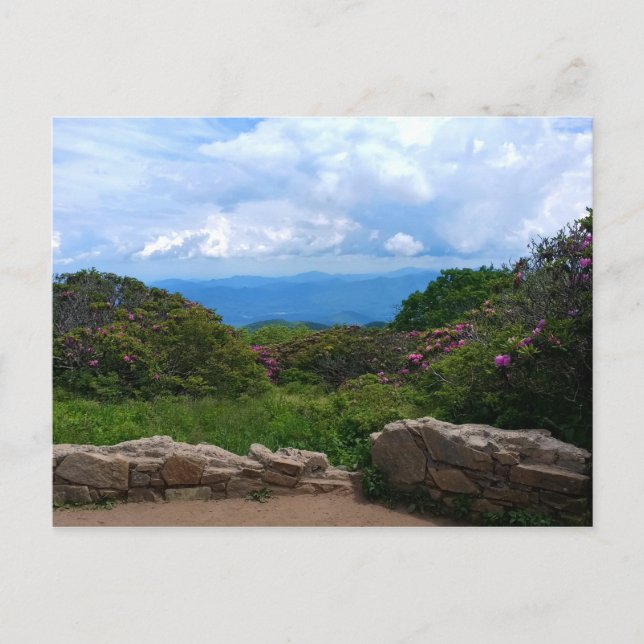 Blue Ridge Spring Postcard Postkarte (Vorderseite)