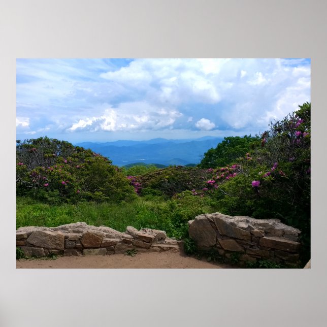Blue Ridge Spring Print Poster (Vorne)