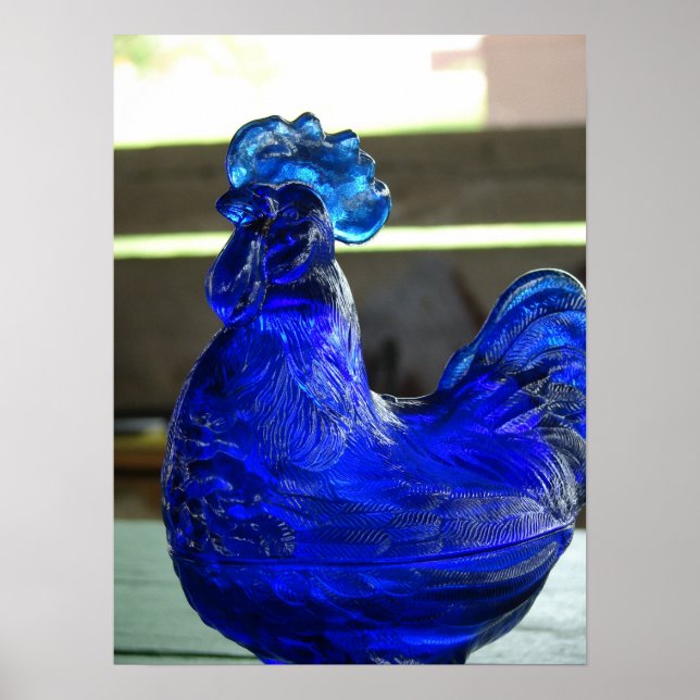 Blue Roo Poster (Vorne)