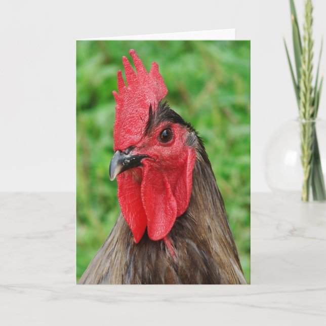 Blue Rooster Karte (Vorderseite)