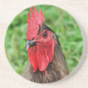 Blue Rooster Sandstein Untersetzer