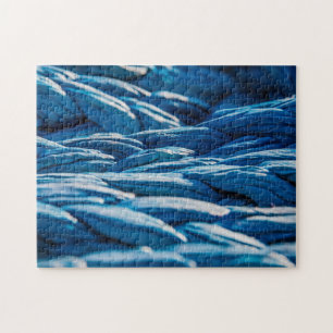 Blue Rope Puzzle