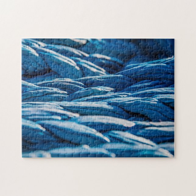 Blue Rope Puzzle (Horizontal)
