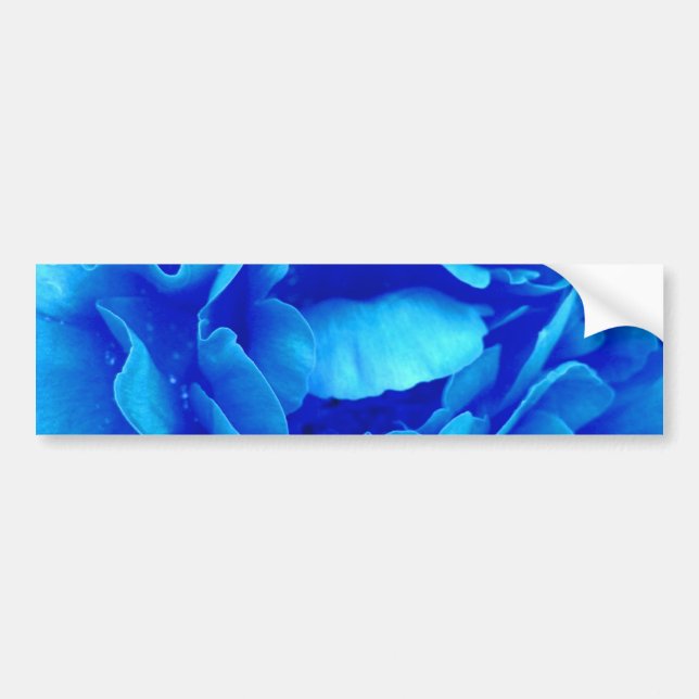 Blue Rose Autoaufkleber - individuell anpassbar (Vorne)