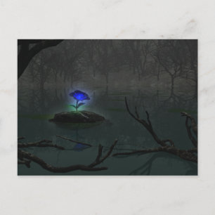 Blue Rose Postcard Postkarte