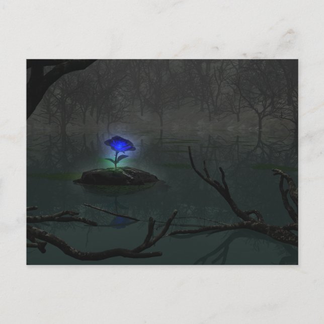 Blue Rose Postcard Postkarte (Vorderseite)
