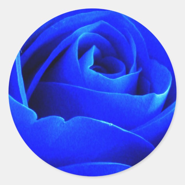 Blue Rose Sticker (Vorderseite)