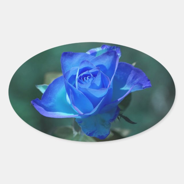 Blue Rose Sticker (Vorderseite)
