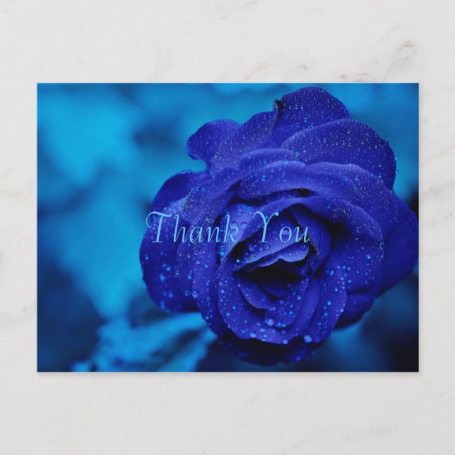 Blue Rose Vielen Dank Postkarte (Vorderseite)