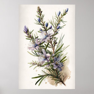 Blue Rosemary Blume Art Print Poster