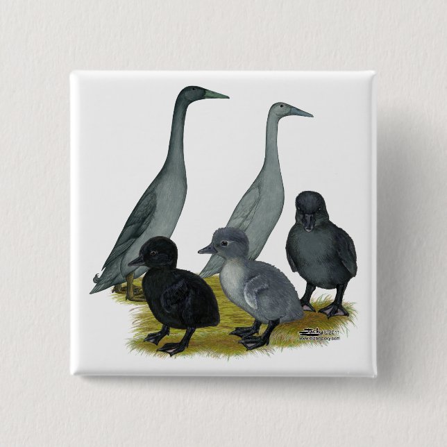 Blue Runner Duck Family Button (Vorderseite)