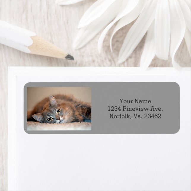 Blue Russian Cat Long Hairs by Shirley Taylor (Insitu)