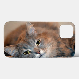 Blue Russian Cat Long Hairs by Shirley Taylor Case-Mate iPhone Hülle