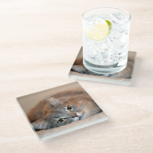 Blue Russian Cat Long Hairs by Shirley Taylor Glasuntersetzer