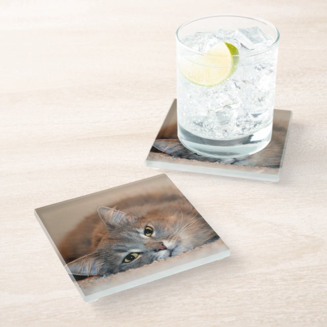 Blue Russian Cat Long Hairs by Shirley Taylor Glasuntersetzer (Schrägansicht)