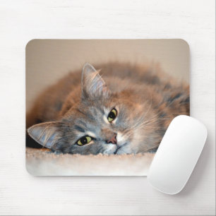 Blue Russian Cat Long Hairs by Shirley Taylor Mousepad