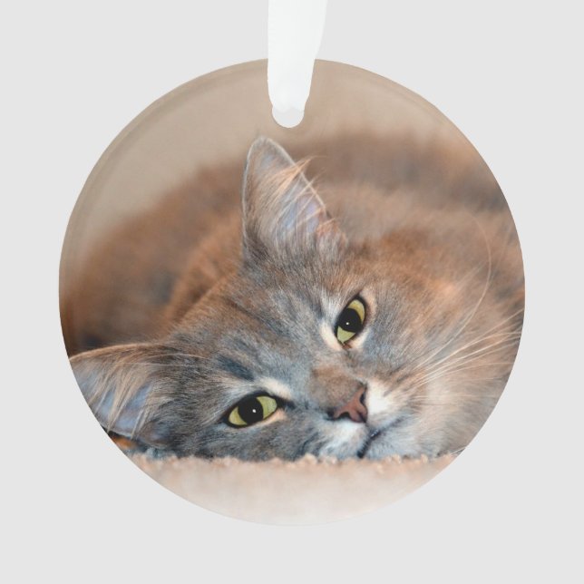 Blue Russian Cat Long Hairs by Shirley Taylor Ornament (Vorderseite)