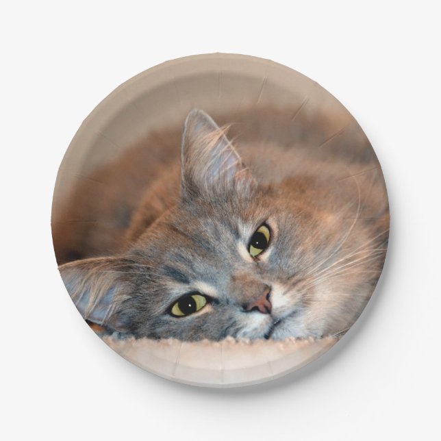 Blue Russian Cat Long Hairs by Shirley Taylor Pappteller (Vorderseite)