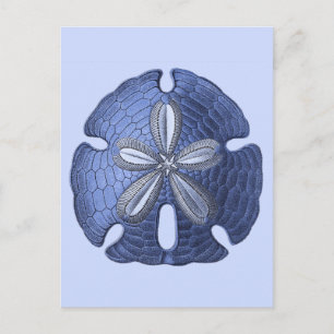 Blue Sand Dollar Postkarte