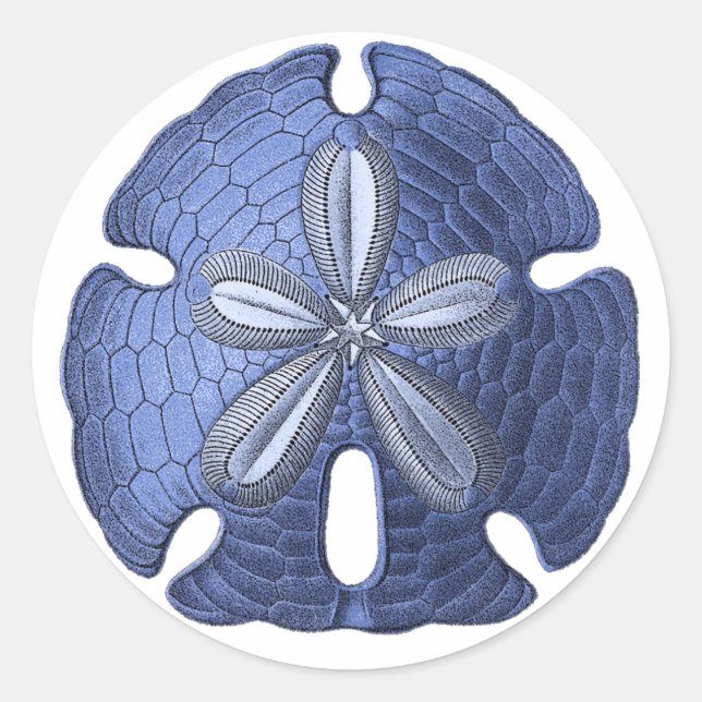 Blue Sand Dollar Runder Aufkleber (Vorderseite)