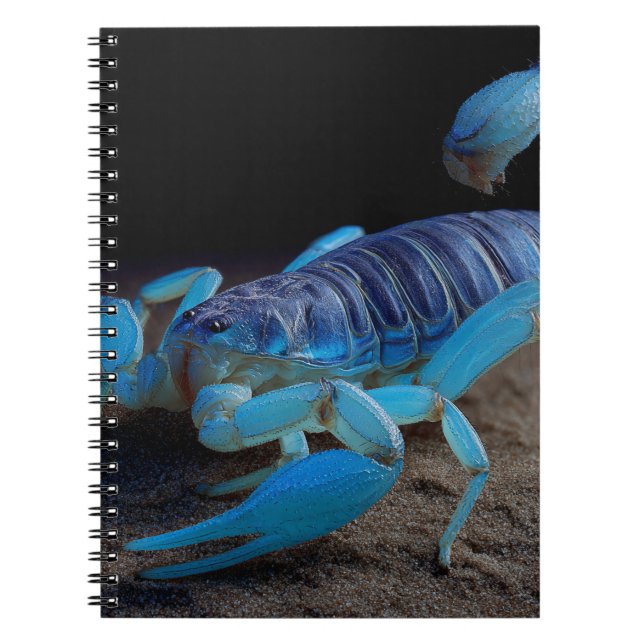 Blue Scorpion Glow Notebook Notizblock (Vorderseite)